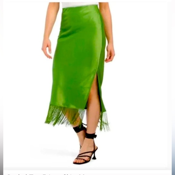 Rachel Zoe fringe dress - Picture 1 of 3